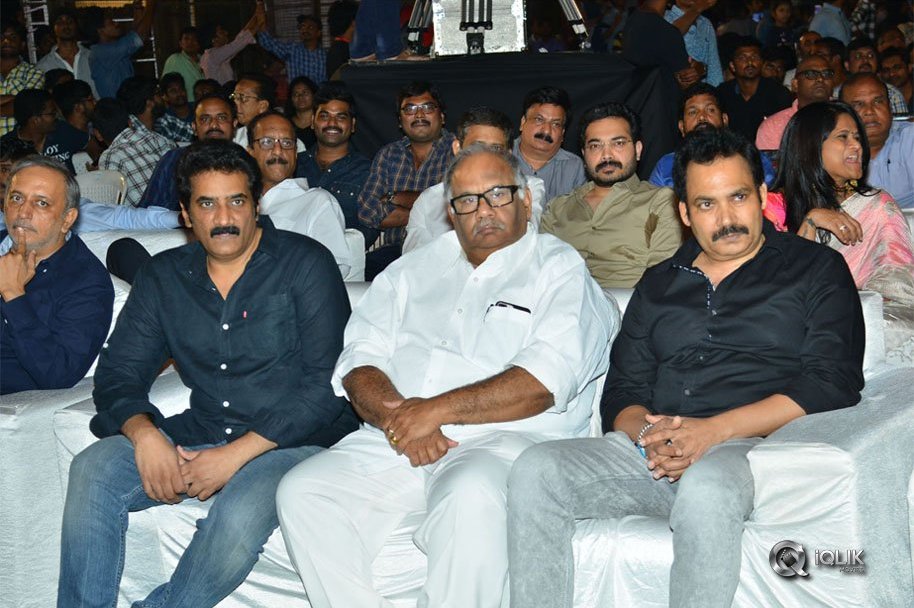 Chal-Mohan-Ranga-Pre-Release-Function-Photos